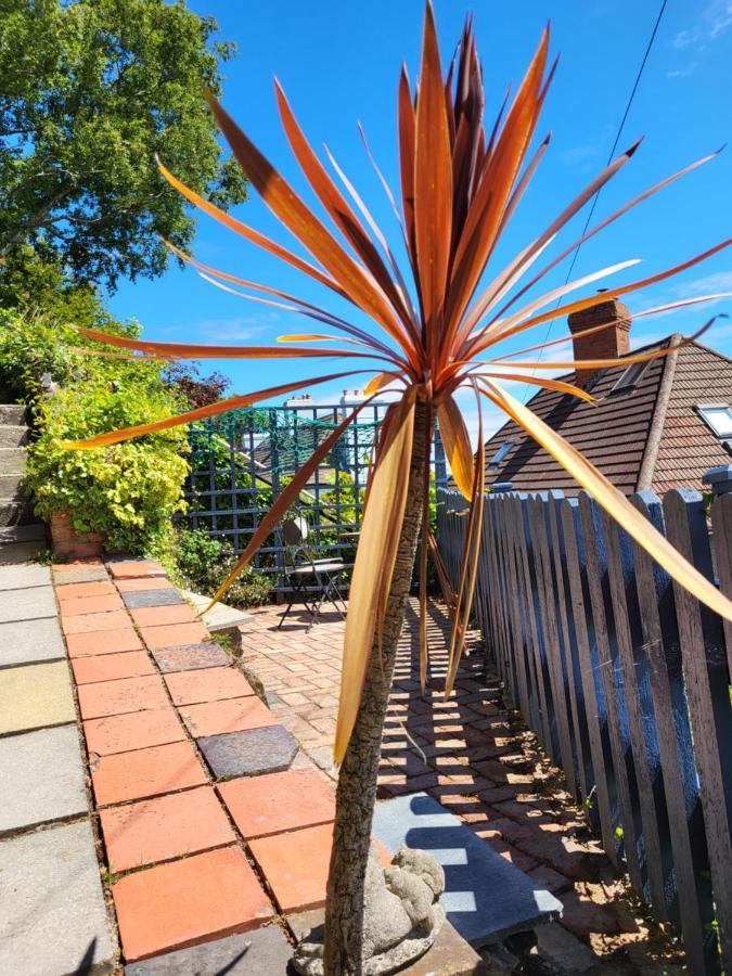 Seasidesteps Apartment Fishguard Exterior photo